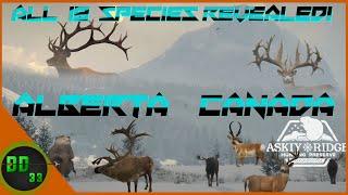 This Is Gonna Be The New Greatest Map Of All Time! Call Of The Wild