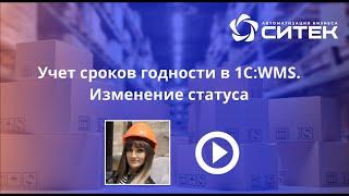 Учет сроков годности в 1С:WMS. Изменение статуса