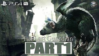 The Last Guardian PS4 Pro Gameplay Walkthrough Part 1 FULL GAME (No Commentary)