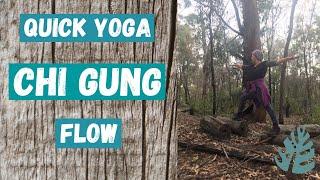 Quick Yoga Chi Gung Flow #chigung #qigong #quickpractice