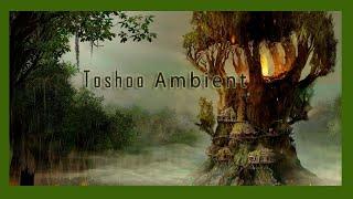 Arcania: Gothic 4 - Toshoo Ambient - 1 HOUR VERSION -