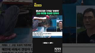 제철 맞은 갯장어 잡이 한창 / KNN