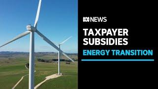 Taxpayers to subsidise renewable energy projects | ABC News