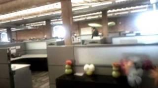 Zendesk office tour with Adria Richards