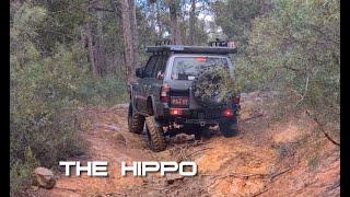 THE HIPPO : My NL Pajero Off-Road car.