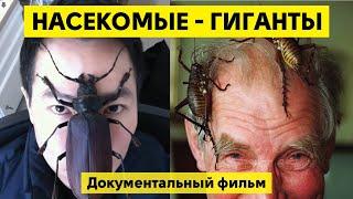 Гигантские насекомые! Самые большие жуки в мире! Документальный фильм. HD. (Русский перевод).