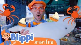 บลิปปี้สำรวจชีวิตทางทะเล | Blippi | การ์ตูนเด็ก | Thai Cartoons for Kids | การ์ตูน