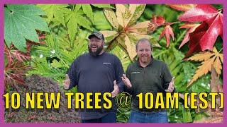 Super Exciting 10@10 For December 10th! Japanese Maples & Rare Plants! w/ Matt and Tim!