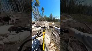 I made a mistake that almost ended the ride..