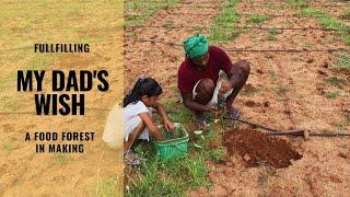 Transforming barren land into a food forest: watch us create an organic food forest from scratch