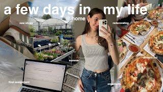 a few days in my life | decluttering, redecorating & going out!