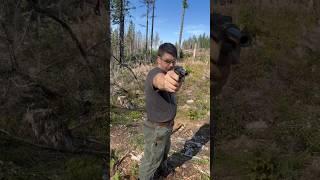 Luger P08, Pistol Showcase #shorts