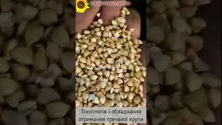 Технологія і обладнання отримання гречаної крупи / Obtaining buckwheat groats