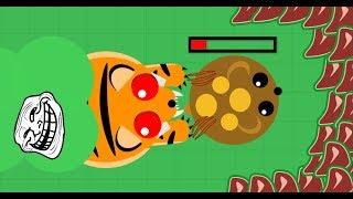 Mope.io // AND HIS NAME IS .... // TIGER TROLLING // Mope.io Bests moments