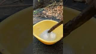 Genius Forest Survival Hack: Thermocol & Gasoline Like You’ve Never Seen! #bushcraft #survival