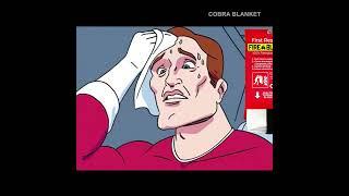 Fireproof Your Peace of Mind with Mart Cobra