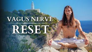 5 Minute Vagus Nerve Reset | Stop Anxiety Fast