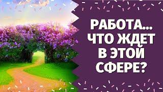 ЧТО ВАС ЖДЕТ В СФЕРЕ РАБОТЫ В БУДУЩЕМ? ЧТО ВАМ НАДО ЗНАТЬ ПРЯМО СЕЙЧАС? Таро онлайн