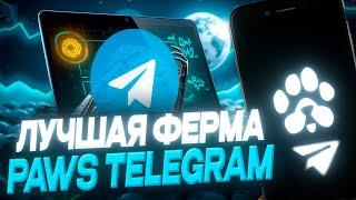 Лучшая Ферма ТЕЛЕГРАМ для ТАПАЛОК | Ферма TELEGRAM Аккаунтов | Ферма Paws | Абуз Кликеров | AIRDROP