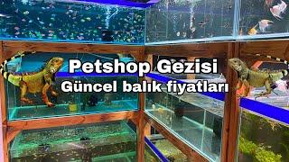 Güncel Akvaryum balığı fiyatları,İguana fiyatları,Akvaryum balık türleri ve çeşitleri