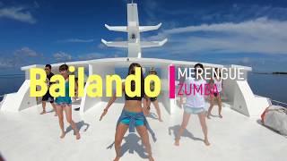 Bailando | ZIN83 | MERENGUE | Zumba® | Nimo