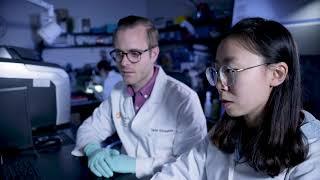 Biochemical Mechanisms in Medicine discipline