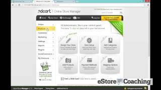 3dcart eStore Software Review, Selling with 3dcart - eStore Coaching