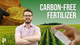 These Microbes Make Carbon- Free Fertilizer | Reinventing Tomorrow