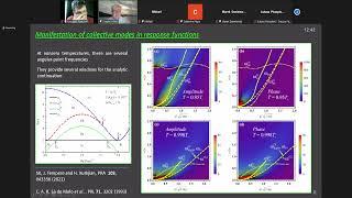 S.Klimin [HyperComplex Seminar 2021]: Collective excitations in superfluids at nonzero temperatures