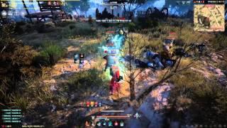 Black Desert Online High Level Witch Gameplay