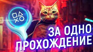 ПЛАТИНА в Stray | Спидран на 100% ДОСТИЖЕНИЙ