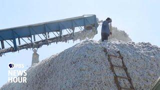 How cotton from Central Asia is helping fuel Russia's war in Ukraine