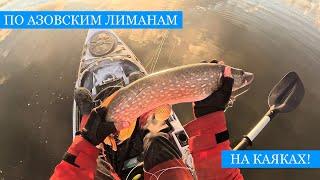По Азовским лиманам на РЫБЛОВНЫХ КАЯКАХ! - Щуки, сомы и бель, потрясающая природа и атмосфера!