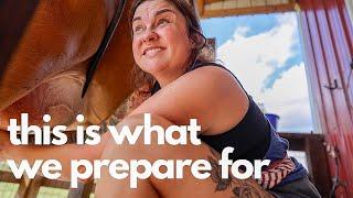 This is what we prepare for (Homesteading after the Hurricane) | VLOG