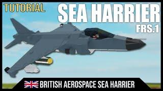 British Aerospace Sea Harrier | Plane Crazy Tutorial