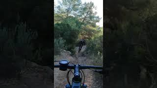 MTB Fall #shorts #mtb #fall #crash #fail