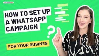 How to Set Up a WhatsApp Campaign for Your Business in 2024?