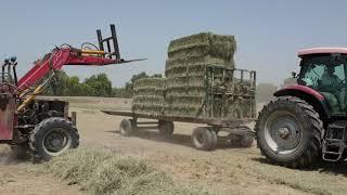 #modernagriculture #rhodegrass Platform bailing at jk dairies rahimyar khan