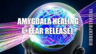 Amygdala Healing Cocktail: Cure Fear and Anxiety (Energetically Programmed Audio) Ver. 4.0