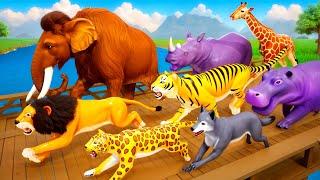 Ancient Animals vs Modern Animals Race: Mammoth, Smilodon, Cheetah & Tiger Face Off in Planet Zoo