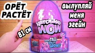 Hatchimals WoW Яйцо Хетчималс ВАУ Растет Llalacorn  Вылупляется снова и снова