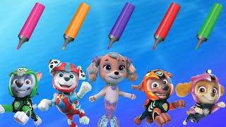 PAW Patrol Aqua Pups | Colors For Kids