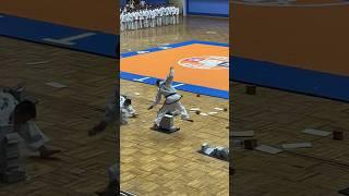 Power breaking by North Korean Taekwondo demo team. Pyongyang, June 2024