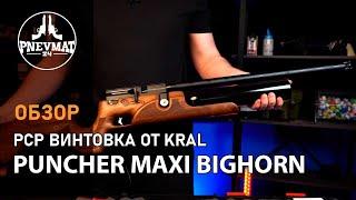 Пневматическая винтовка Kral Puncher Maxi Bighorn