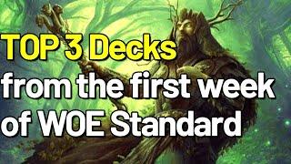 Top 3 New Decks from the First Week of WOE Standard | Mtg