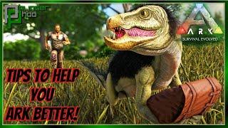 Tips Every Ark Player should know! - Ark Tips