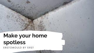 Make your home spotless