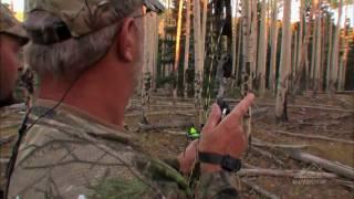 Bone Collector - New show on Outdoor Channel for 2009: Elk Hunting