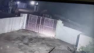 lion on CCTV camera at my home