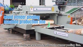 The WOOD VENEER PEELING MACHINE That's Revolutionizing Production Lines